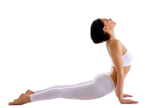 ข้อต่อที่แข็งแรงและยืดหยุ่นด้วย Ostelife Premium Plus